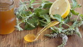 Лимонный джем