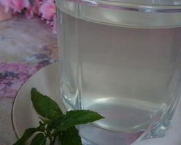 Компот из кабачков