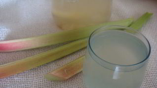 Компот из ревеня