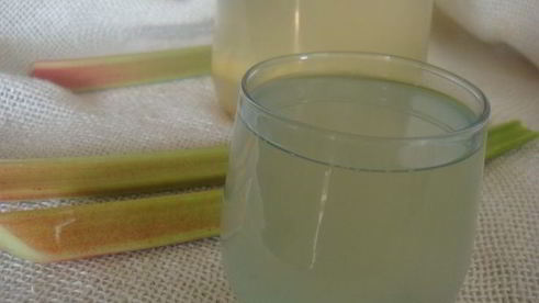 компот из ревеня