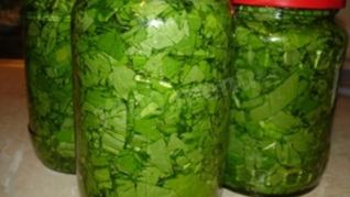 Консервированный щавель на зиму