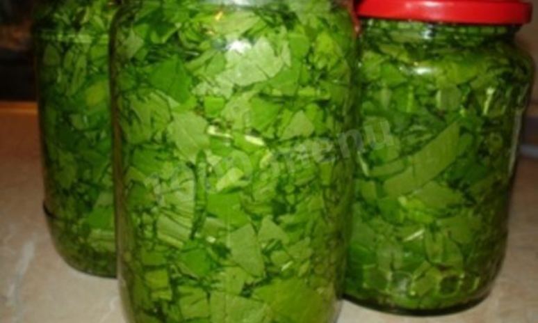 Рецепт консервированного щавеля на зиму