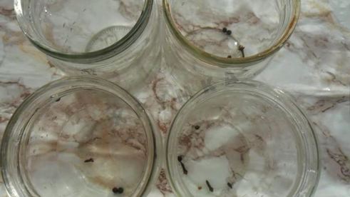 консервированные кабачки с кетчупом чили на зиму