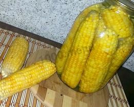 Кукуруза на зиму в початках