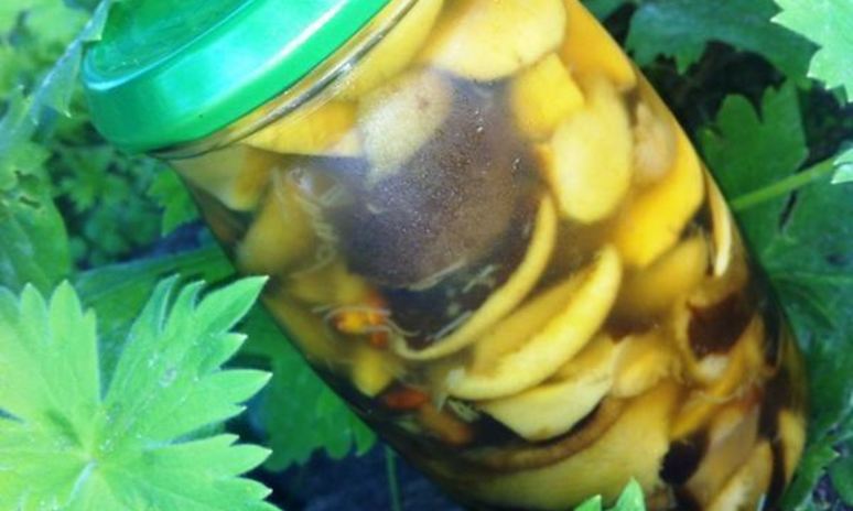 Рецепт белых грибов маринованных