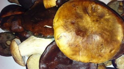 белые грибы маринованные