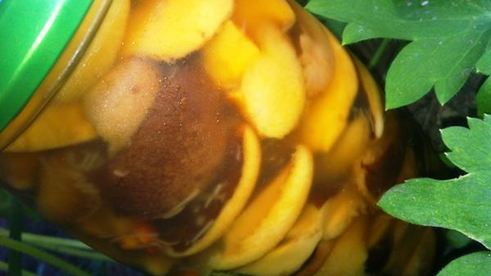 белые грибы маринованные