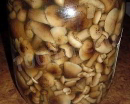 Быстрые маринованные грибы