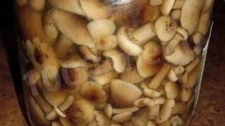 Быстрые маринованные грибы