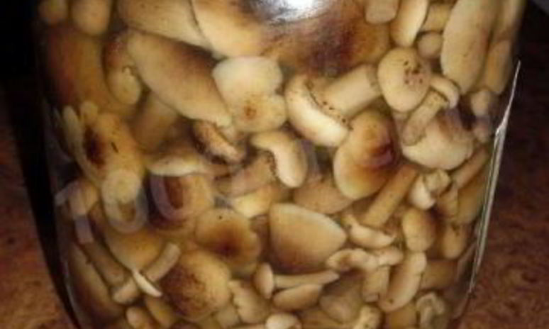 Рецепт быстрых маринованных грибов