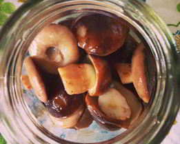 Грибочки маринованные вкусные