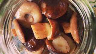 Грибочки маринованные вкусные