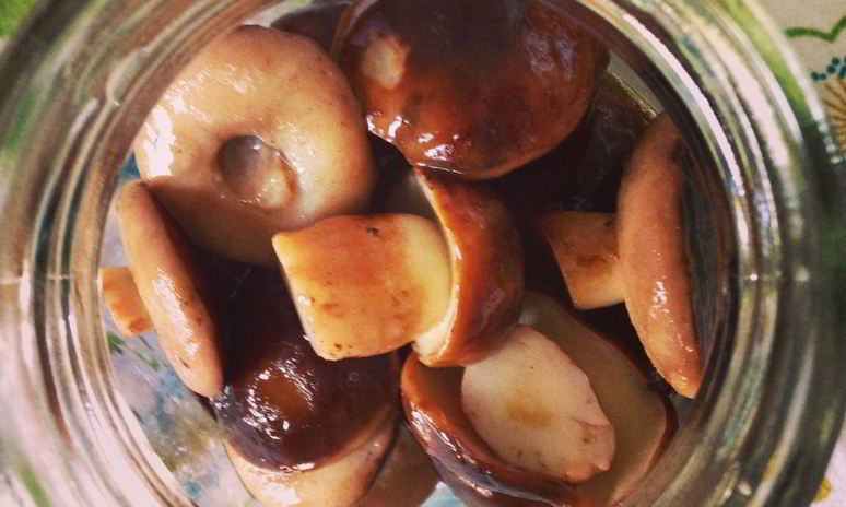 Рецепт грибочков маринованных вкусных