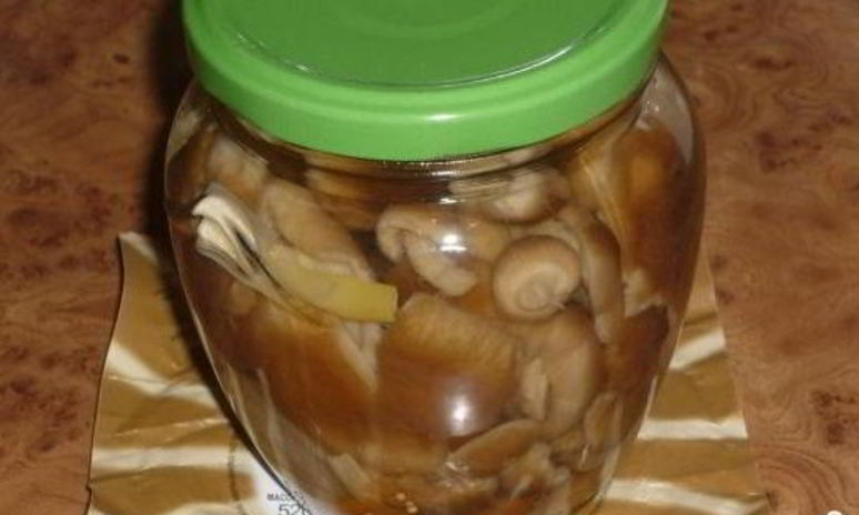 Рецепт груздей, маринованных в банке
