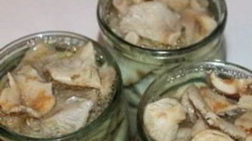 грузди, маринованные в банке