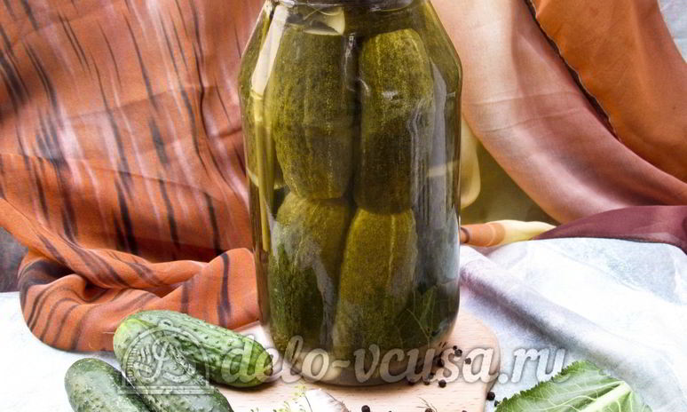 Рецепт хрустящих маринованных огурцов в банке