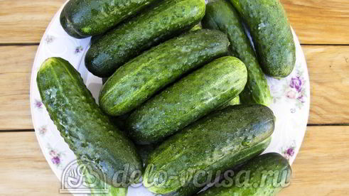 хрустящие маринованные огурцы в банке