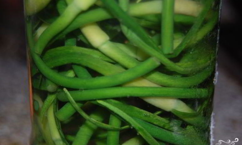 Рецепт маринования стрелок чеснока