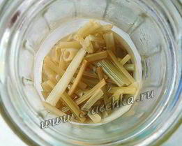 Маринованная сныть