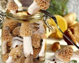 Маринованный сморчок