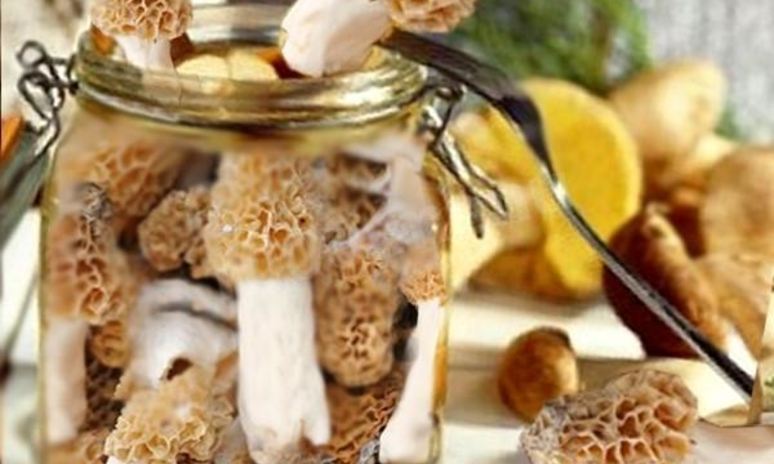 Рецепт маринованного сморчка