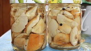 Маринованные белые грибы без уксуса