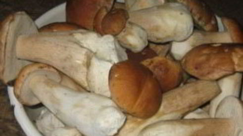 маринованные белые грибы без уксуса