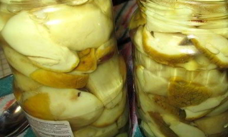Рецепт маринованных белых грибов