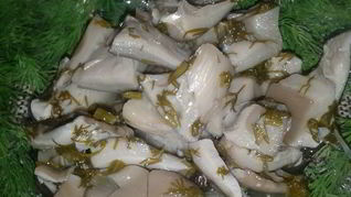 Маринованные грибочки по-домашнему