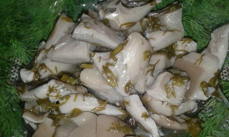 Рецепт маринованных грибочков по-домашнему