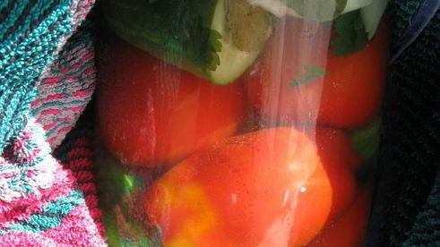 маринованные кабачки, огурцы и помидоры