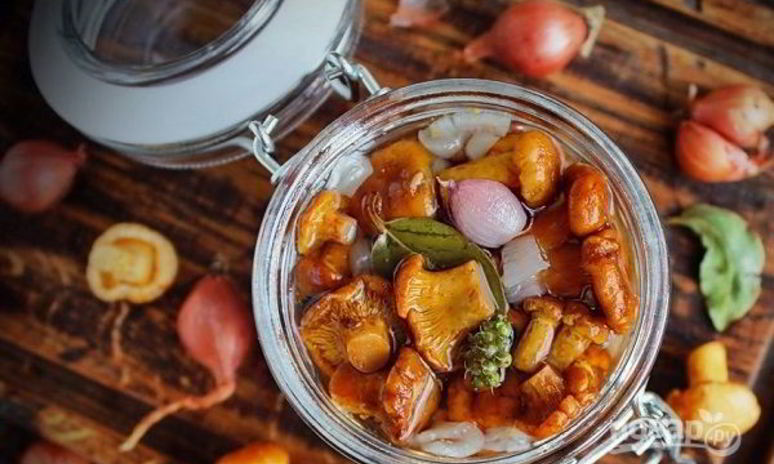Рецепт маринованных лисичек