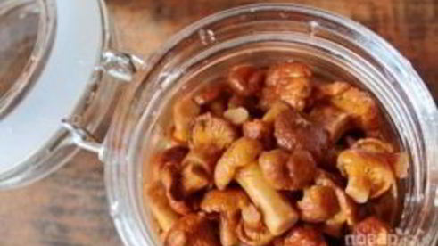 маринованные лисички