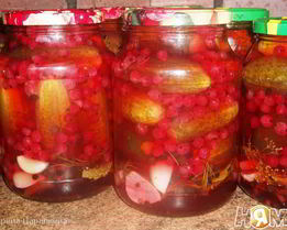 Маринованные огурчики с ягодами красной смородины