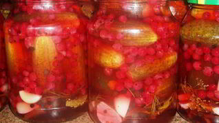 Маринованные огурчики с ягодами красной смородины