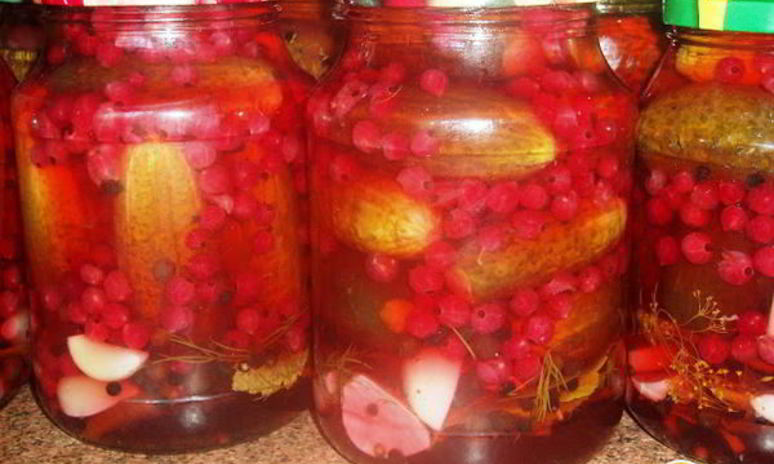 Рецепт маринованных огурчиков с ягодами красной смородины