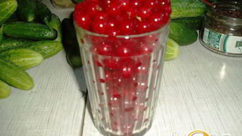 маринованные огурчики с ягодами красной смородины