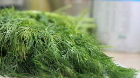 маринованные огурцы без уксуса