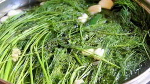 маринованные огурцы без уксуса