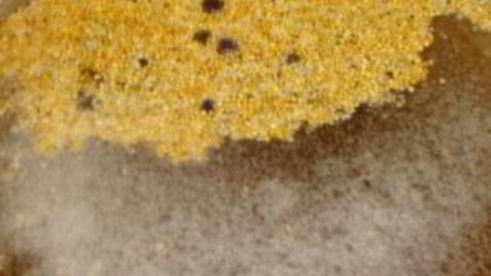 маринованные огурцы на зиму