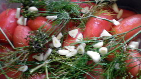 маринованные помидоры в стиле ню