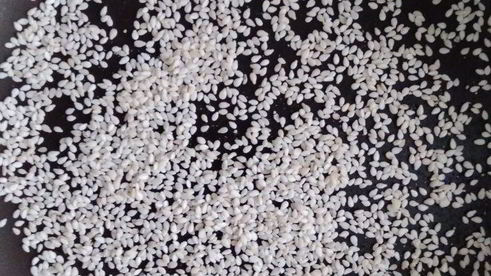 маринованные шампиньоны