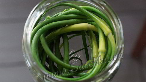 маринованные стрелки чеснока