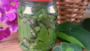 Маринованные стрелки на зиму