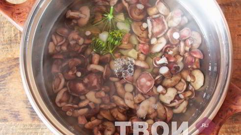 маслята маринованные