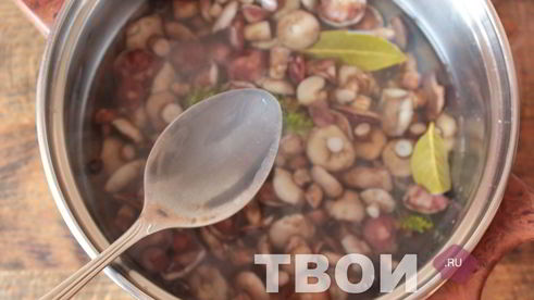 маслята маринованные