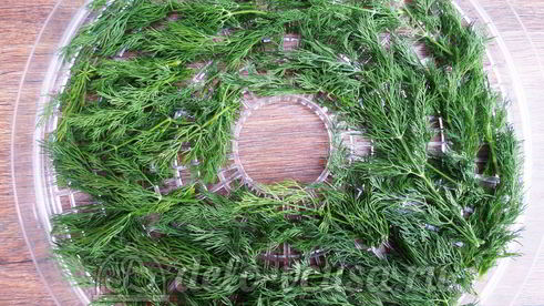 овощная приправа