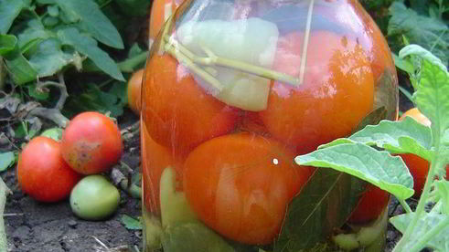 овощное ассорти на зиму