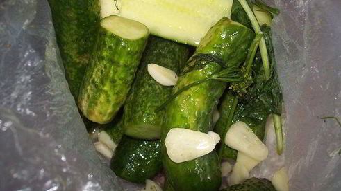 малосольные огурчики в пакете