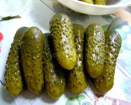 Малосольные огурцы быстрой засолки